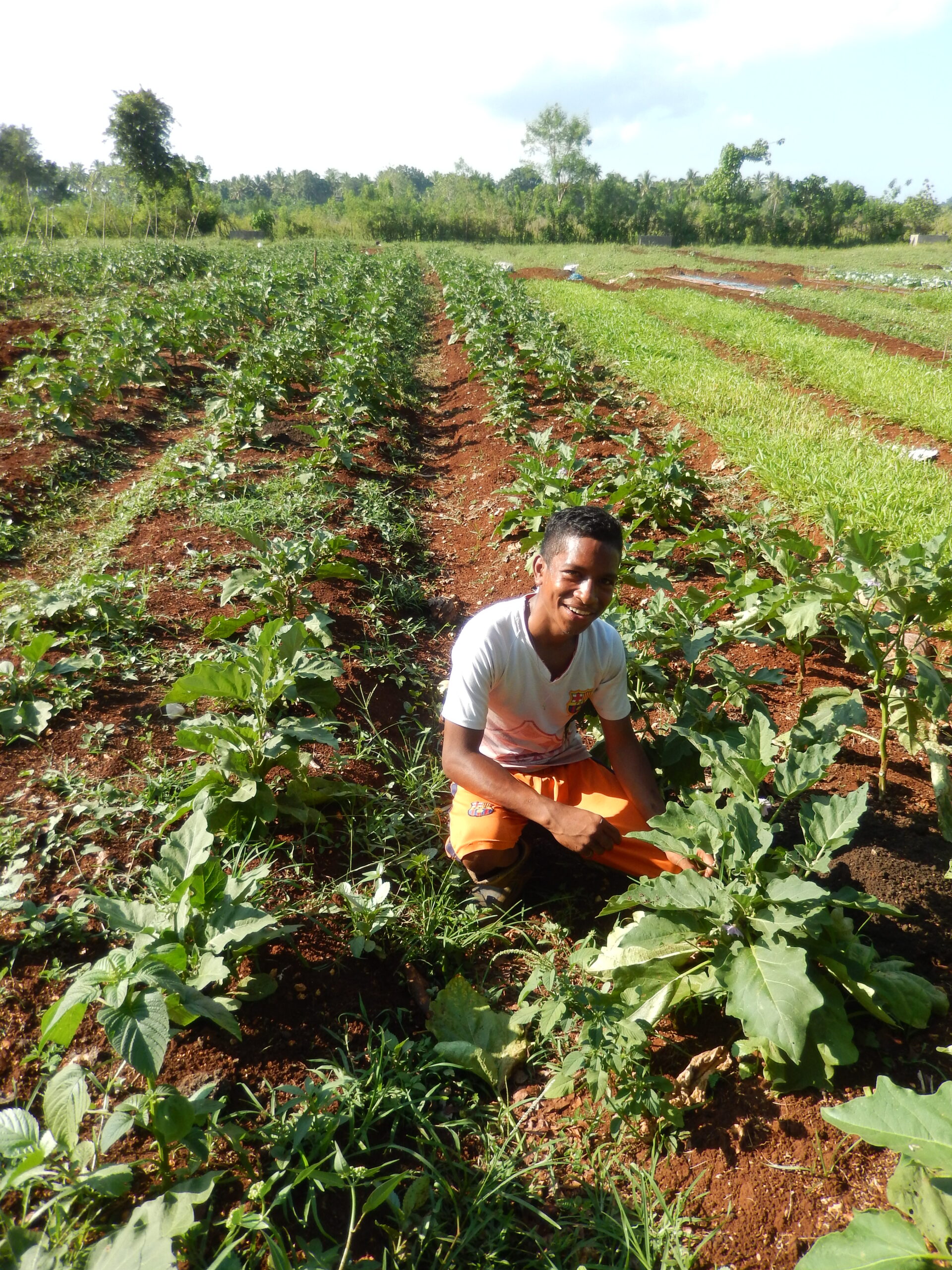 Timor Fuilor - Agricultural School 1